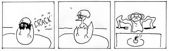 egg
